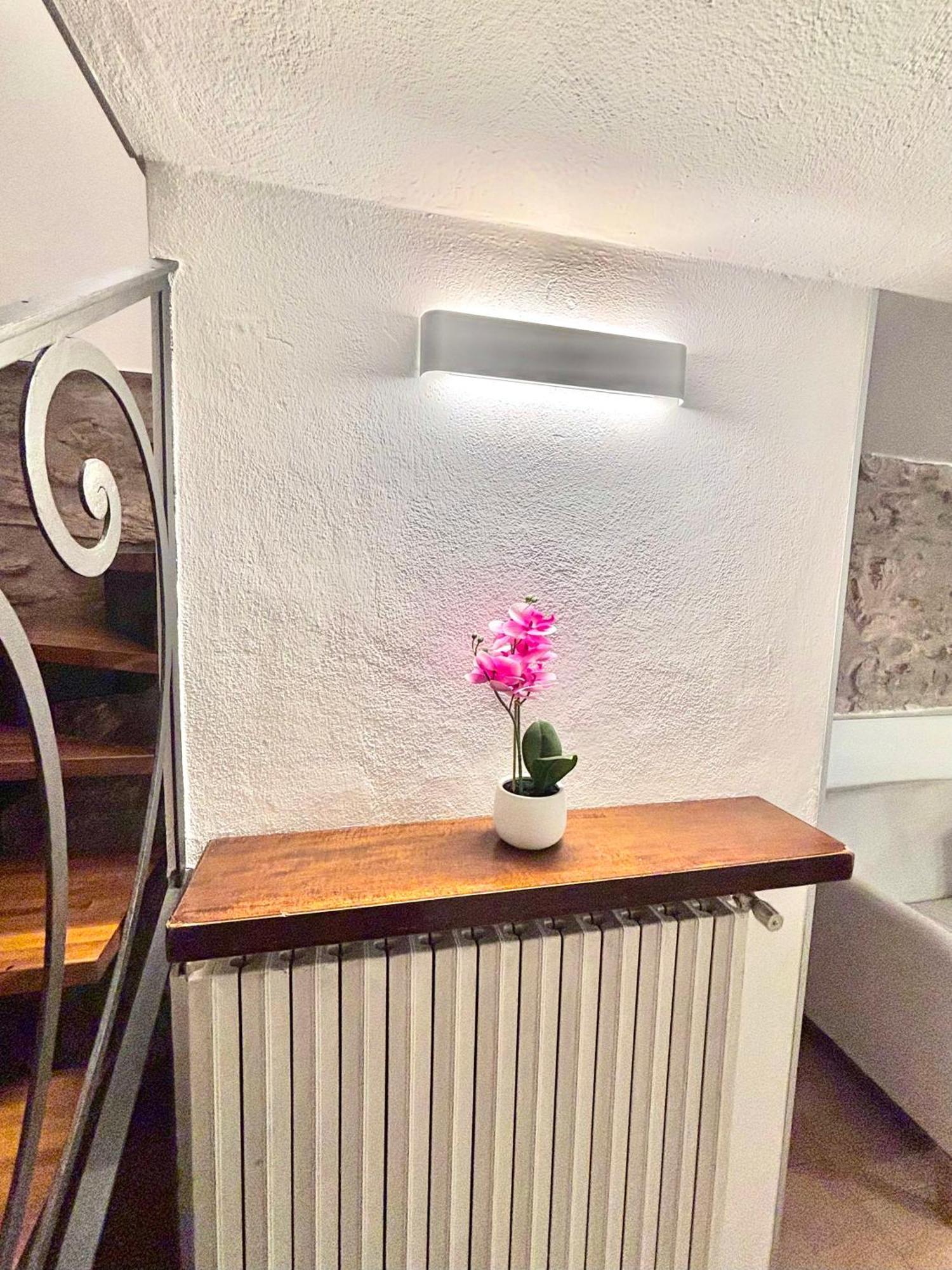 Vittoria Holiday House - Tulip Apartment And Tulip Room ストレーザ エクステリア 写真